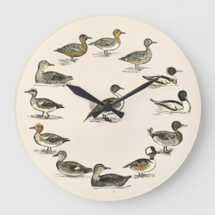 Grande Horloge Ronde Canards des illustrations de l'Amérique du Nord