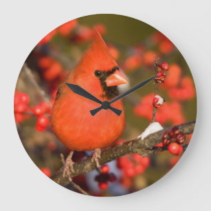 Grande Horloge Ronde Cardinal de Northern