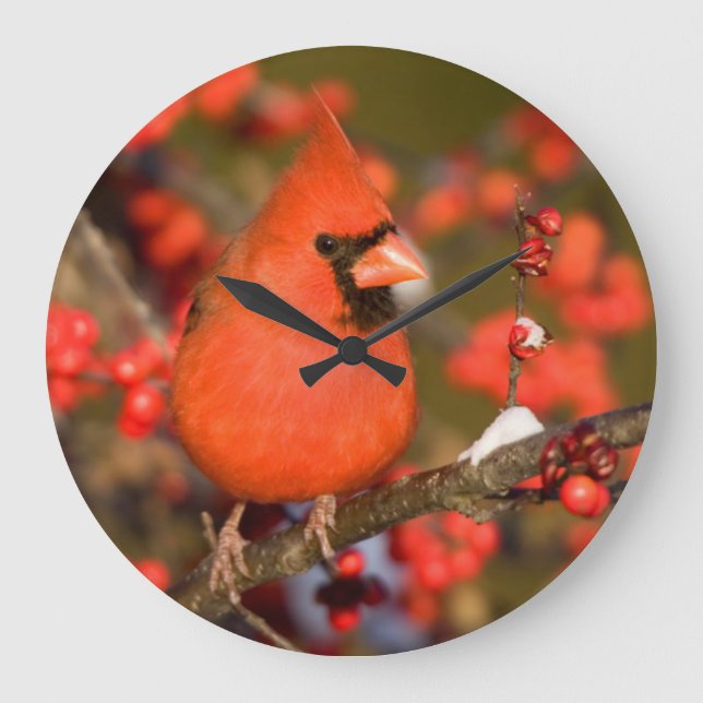 Grande Horloge Ronde Cardinal de Northern (Recto)
