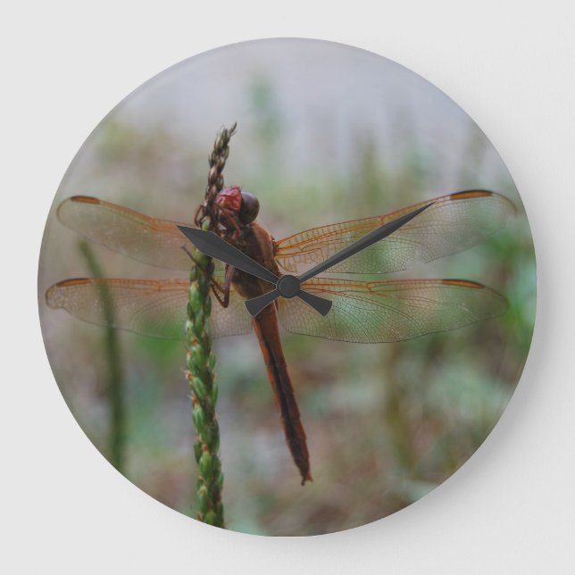 Grande Horloge Ronde Cardinal Meadowhawk (Recto)