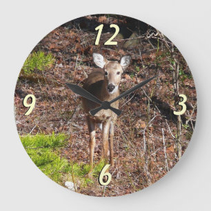 Grande Horloge Ronde Cerf adorable dans les bois Photographie de la nat