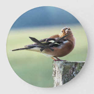 GRANDE HORLOGE RONDE CHAFFINCH