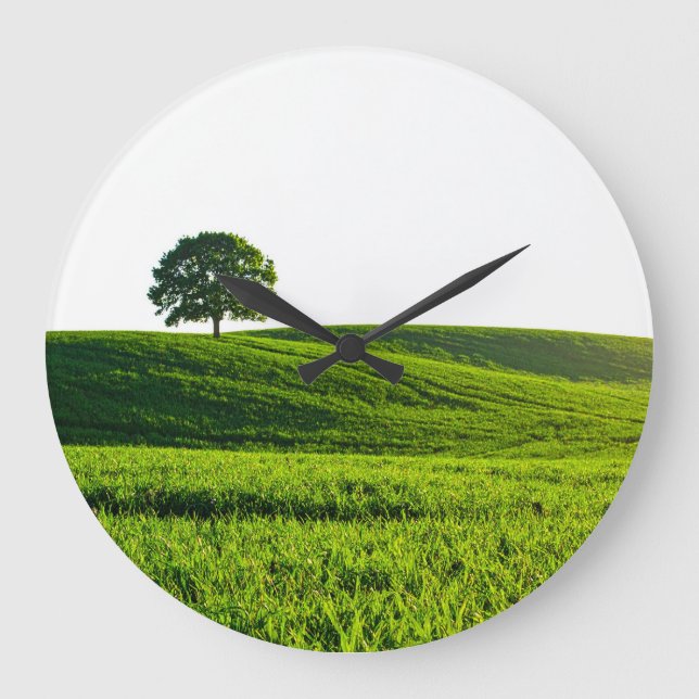 Grande Horloge Ronde champ vert (Recto)