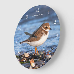 Grande Horloge Ronde Charmant Pluvier Semipalmé Sandpiper Oiseau de Riv