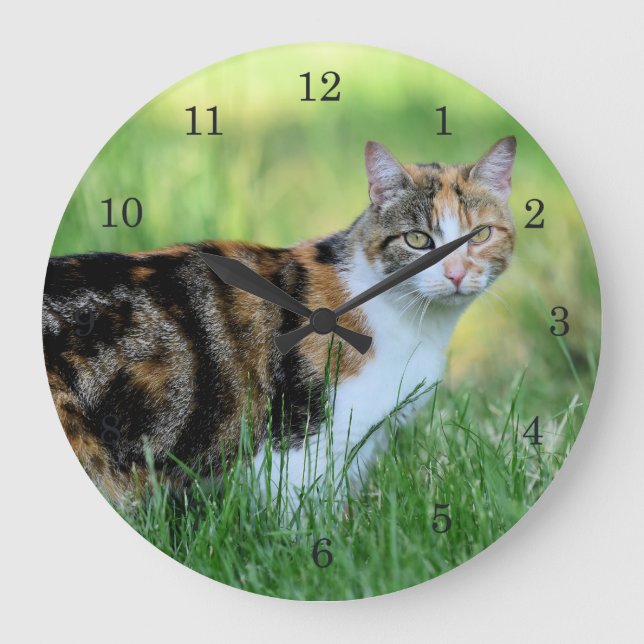 Grande Horloge Ronde Chat brun et blanc (Recto)
