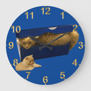 Grande Horloge Ronde Chat Gingembre Drôle Dans Une Boîte De Chaussure,