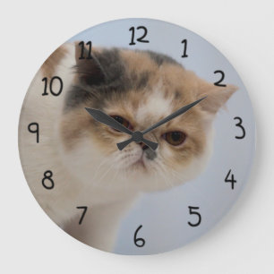 Grande Horloge Ronde Chat grincheux de visage