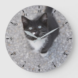 Grande Horloge Ronde chaton Tuxedo