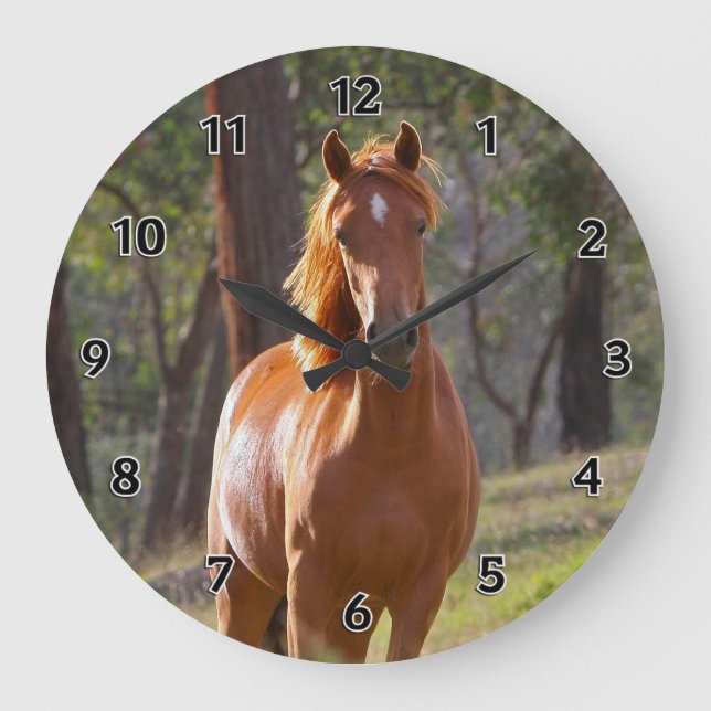 Grande Horloge Ronde Cheval Dans Les Bois (Recto)