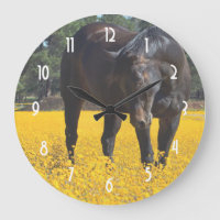 Cheval de baie dans un champ de fleurs jaunes