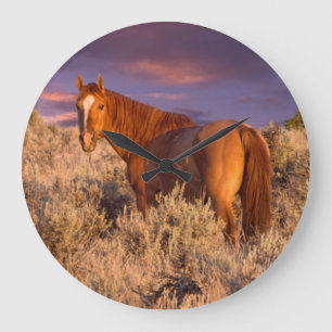 Grande Horloge Ronde Cheval sauvage du comté de Harney se tient alerte