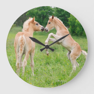 Grande Horloge Ronde Chevaux de Haflinger jolies poulains élevant