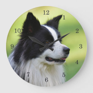 Grande Horloge Ronde Chien Border Collie noir et blanc