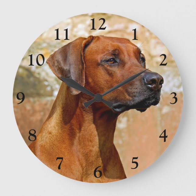 Grande Horloge Ronde Chien de Rhodesian Ridgeback (Recto)