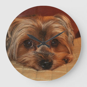 Grande Horloge Ronde Chien mignon de Yorkshire Terrier
