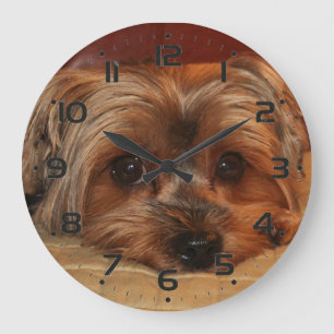 Grande Horloge Ronde Chiot du Yorkshire Terrier