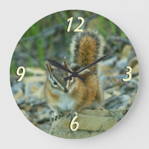 Grande Horloge Ronde Chipmunk dans le parc national des Glaciers