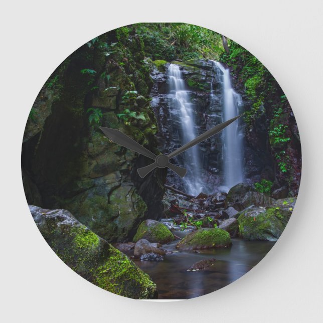 Grande Horloge Ronde Chutes de beautiful in rainforest (Recto)