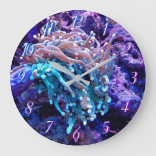 Grande Horloge Ronde Clock de Coral reef sea anenome