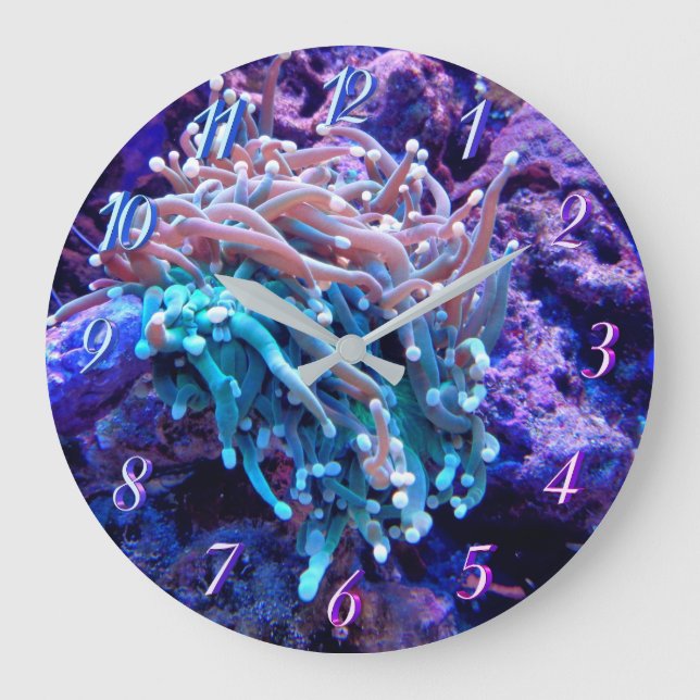 Grande Horloge Ronde Clock de Coral reef sea anenome (Recto)