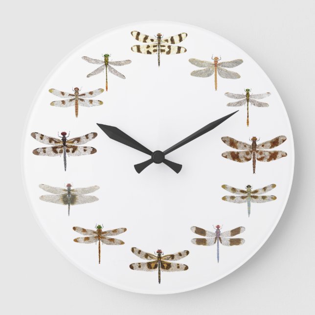 Grande Horloge Ronde Clock du Dragonfly (Recto)