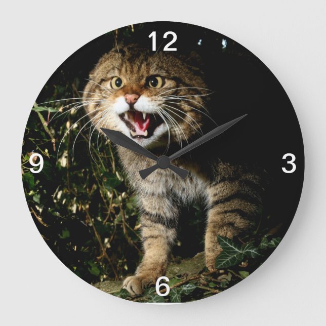 Grande Horloge Ronde Clock - Scottish wildcat (Recto)