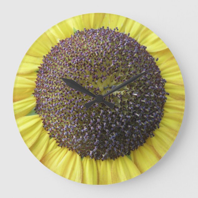 Grande Horloge Ronde Clock Sunflower (Recto)