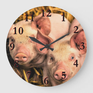 Grande Horloge Ronde Cochons