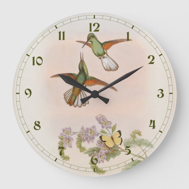Grande Horloge Ronde Colibri à queue blanche (Eupherusa poliocerca) (Recto)
