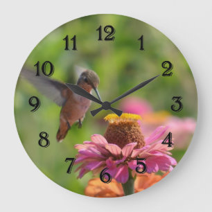 Grande Horloge Ronde Colibri avec la fleur de Zinnia
