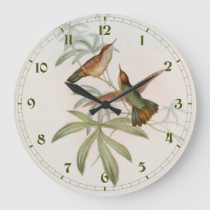 Grande Horloge Ronde Colibri Avocette à queue violette par John Gould