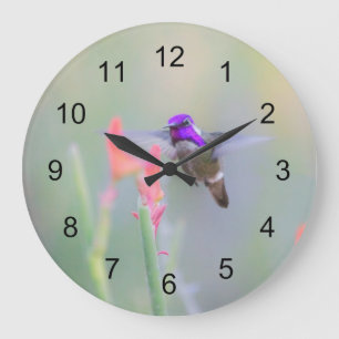 Grande Horloge Ronde Colibri de Costa en approche
