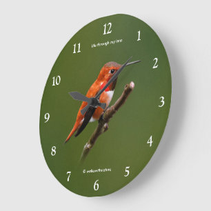Grande Horloge Ronde Colibri roux époustouflant sur le cerisier