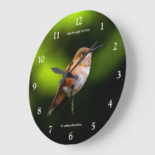 Grande Horloge Ronde Colibri roux étourdissant sur un arbre fruitier