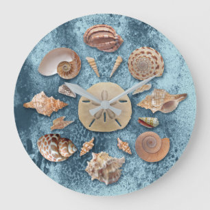 Grande Horloge Ronde Collection de coquillages