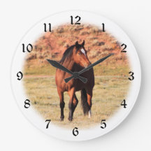 Colorado Wild Horse Vignette