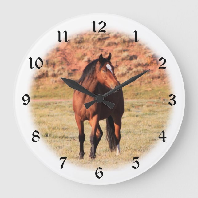 Grande Horloge Ronde Colorado Wild Horse Vignette (Recto)