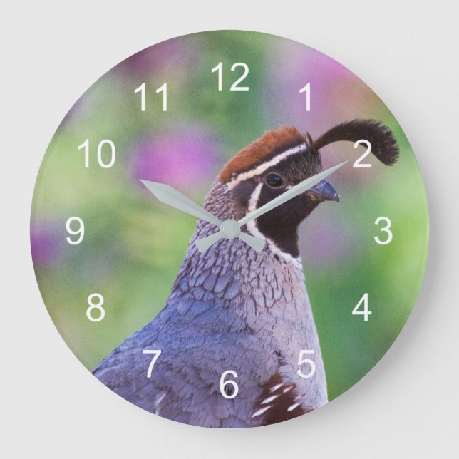 Grande Horloge Ronde Colorful quail (Recto)