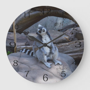Grande Horloge Ronde Contremaître De Possum À Ringtail Au Travail,