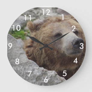 Grande Horloge Ronde Cook bear