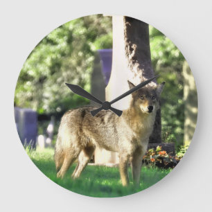 Grande Horloge Ronde Coyote au cimetière