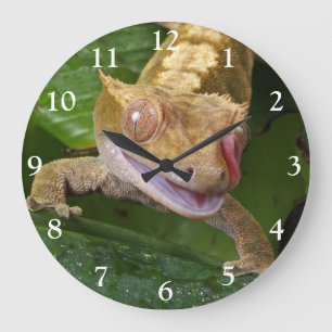 Grande Horloge Ronde Crested Gecko