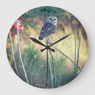 Grande Horloge Ronde Creusant le hibou été perché autour de l'horlog