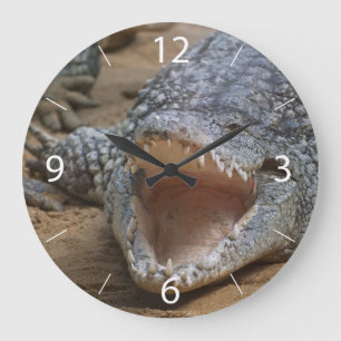 Grande Horloge Ronde Crocodile