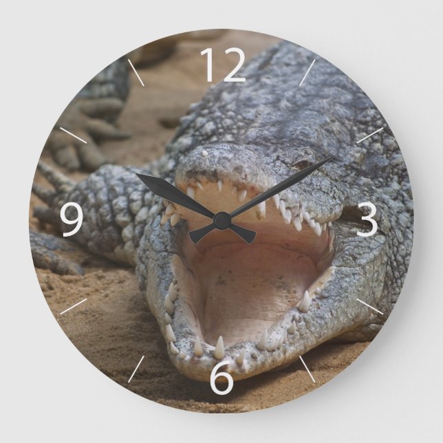 Grande Horloge Ronde Crocodile (Recto)
