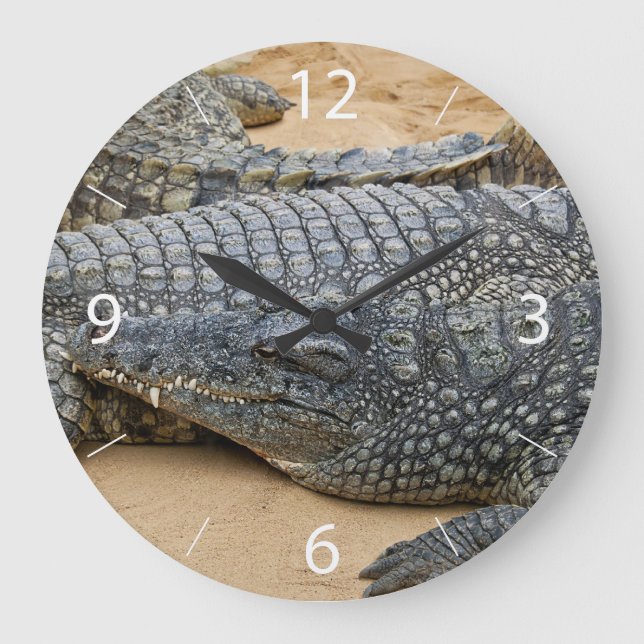 Grande Horloge Ronde Crocodiles (Recto)