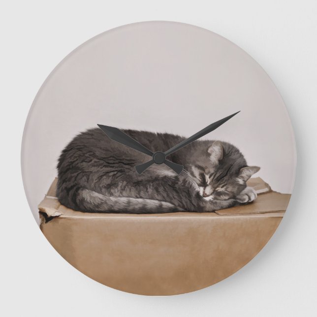 Grande Horloge Ronde Cuisine Grise Tabby Chat Dormant Sur Une Boîte (Recto)