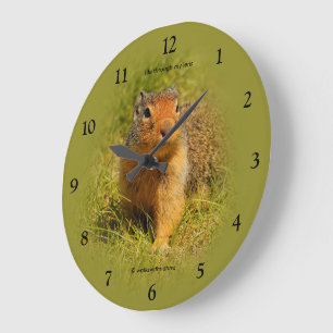 Grande Horloge Ronde Curieux Cute affamé écureuil de fond colombien
