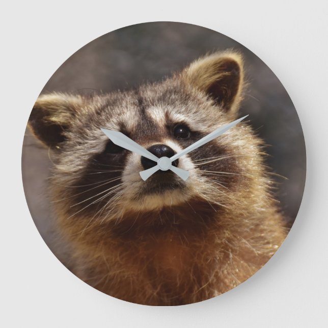 Grande Horloge Ronde Curious Raccoon (Recto)