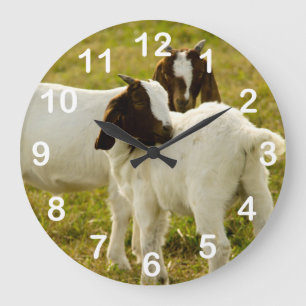 Grande Horloge Ronde Cute Goats